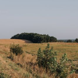 Znaczenie remiz śródpolnych